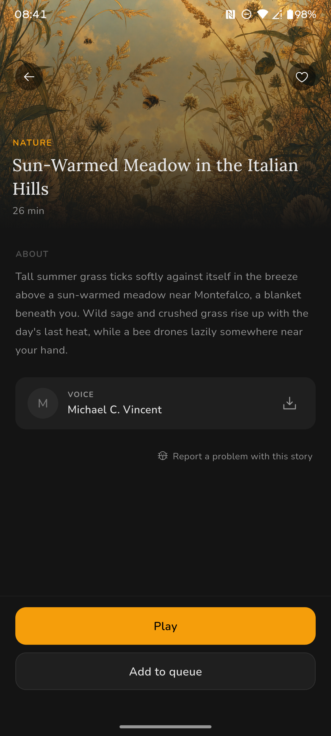 Story detail screen