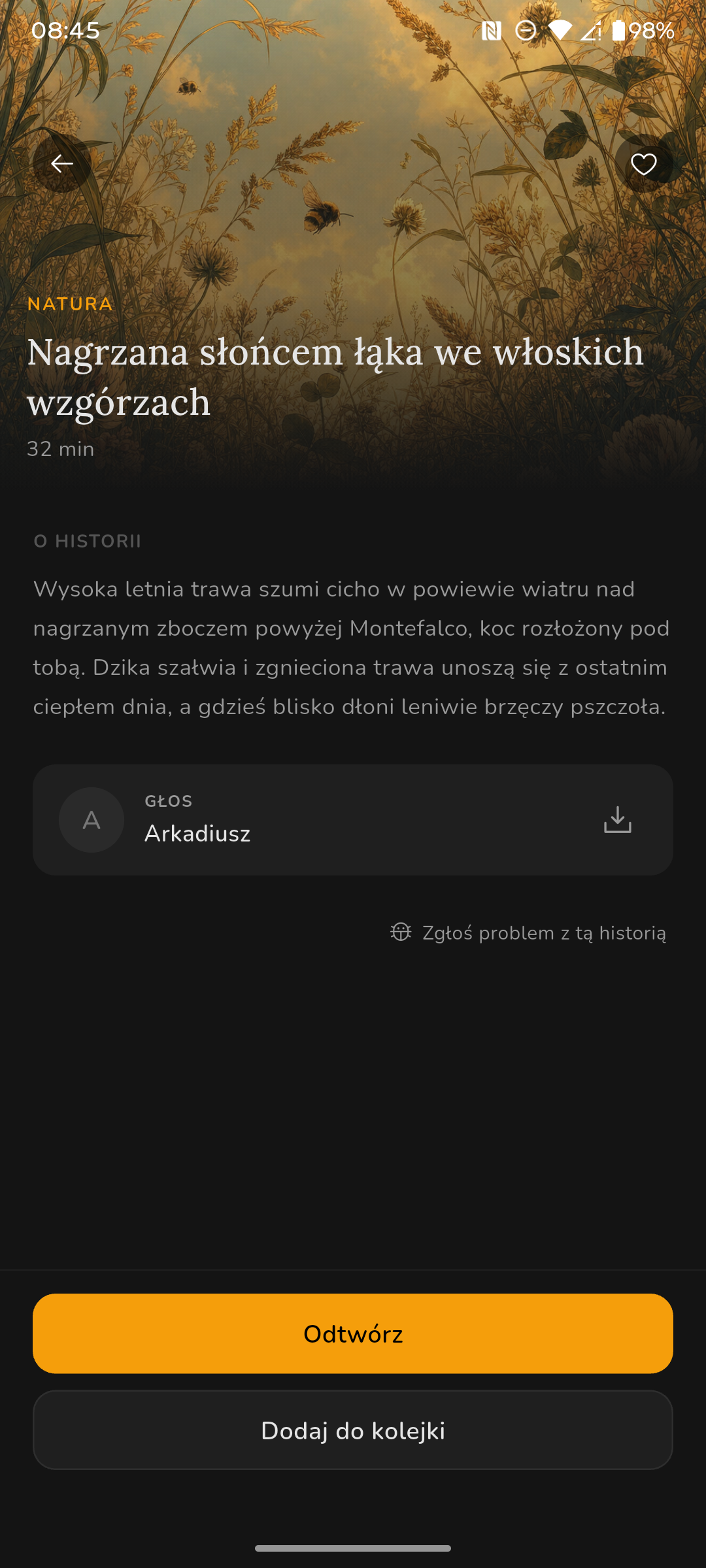 Szczegóły historii
